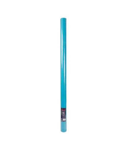 Nappe Plastique Intissé 1,20x10m Bleu