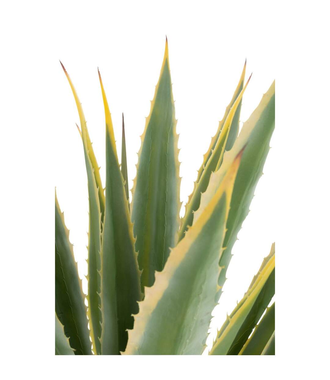 Plante Artificielle en Pot Agave 135cm Vert-2
