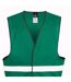 Gilet haute visibilité core enhanced adulte vert SAFE-GUARD by Result-2