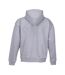 Unisex Adult Jelo Full Zip Hoodie Grey Marl SOLS-2