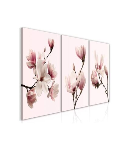 Paris Prix - Tableau Imprimé spring Magnolias 3 Panneaux 60x120cm
