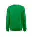 Unisex Adult Softball Rsx Melange Sweatshirt Fresh Green Printer-3