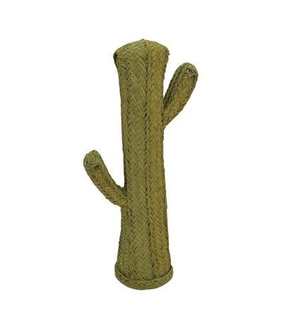 Cactus en alpha Hauteur 85 cm