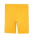 Mens Liga Short Tights Sun Stream Puma-2
