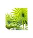 Plante Artificielle en Pot Palmier 120cm Vert-2