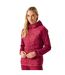 Womens/ladies andreson viii hybrid jacket rumba red Regatta