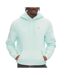 Sweat à capuche turquoise homme tommy hilfiger flag hoodi - l-1