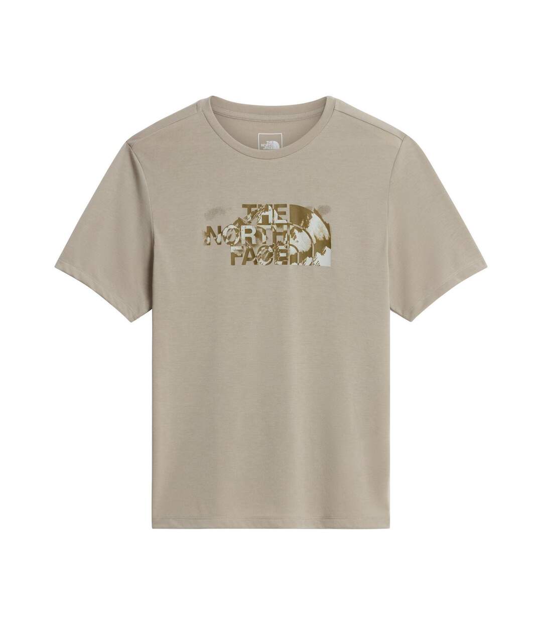T-shirt Motif/style Logo Foundation Homme Gris Pierre The North Face-1