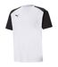 Mens Teampacer Colour Block T-shirt White Black Puma-1