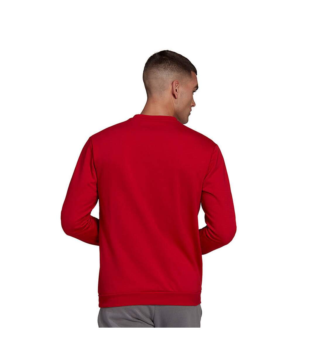 Sweat Entrada Homme Rouge Adidas-2