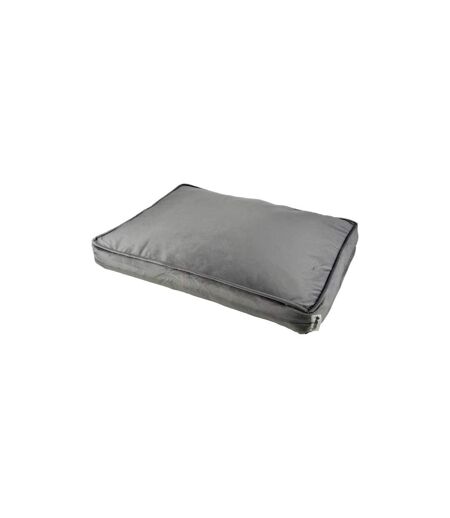 Coussin Rectangle Chien & Chat Velours Crafty 100cm Gris
