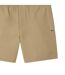 Short Homme Beige Lacoste-2