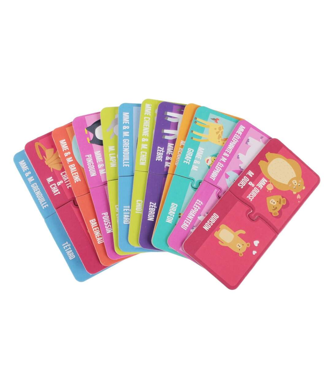 Jeu de 30 Cartes Educatives Animaux 14cm Multicolore-2