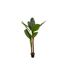 Plante Artificielle XXL Bananier 160cm Vert-1