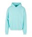 Sweat À Capuche Adulte Béryl Bleu Build Your Brand-1