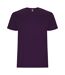 Roly - T-shirt STAFFORD - Homme (Violet) - UTPF4347