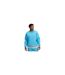 Mens Icon Crew Neck Sweatshirt Blue Under Armour-1