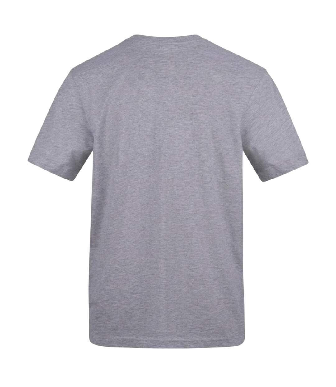 T-shirt They´ll Never Take Our Sporrans! Homme Gris AWD-2