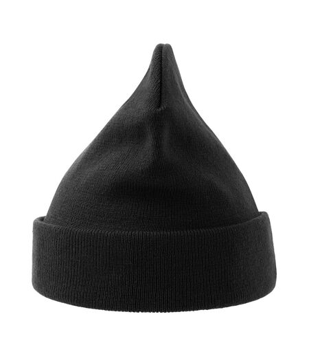 Atlantis Unisex Adult Pier Polartech Lined Beanie (Black)