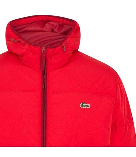 Mens Heavyweight Quilted Puffer Jacket Red Lacoste