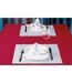 Lot de 100 sets de table tissu jetables - 50x35 cm - HOSTEX - violet pétale-2