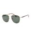 PLD2106GS men's polarized sunglasses