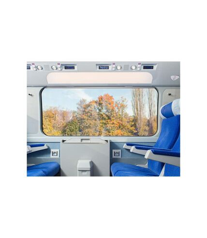 L'Europe en train : pass Interrail de 15 jours - SMARTBOX - Coffret Cadeau Sport & Aventure
