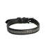 Dog collar 12in black Hy Encrusted