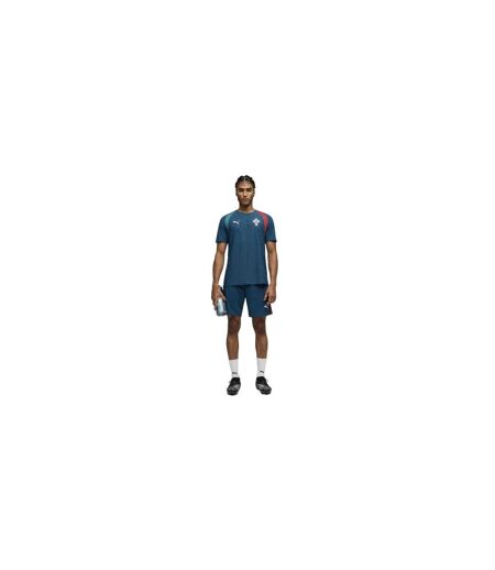 T-shirt Entraînement Motif/style Portugal World Cup Homme Vert Argenté Puma