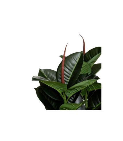 Plante Artificielle Ficus Robusta 120cm Vert