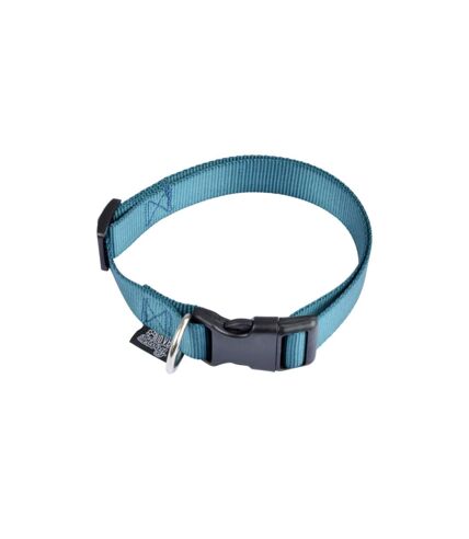 Collier Réglable pour Chien Essentiel 45cm Émeraude