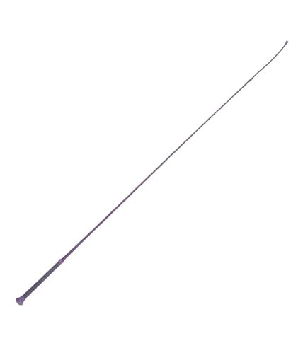 HySCHOOL Schooling Whip With Spiral Sure Grip Handle (Purple)