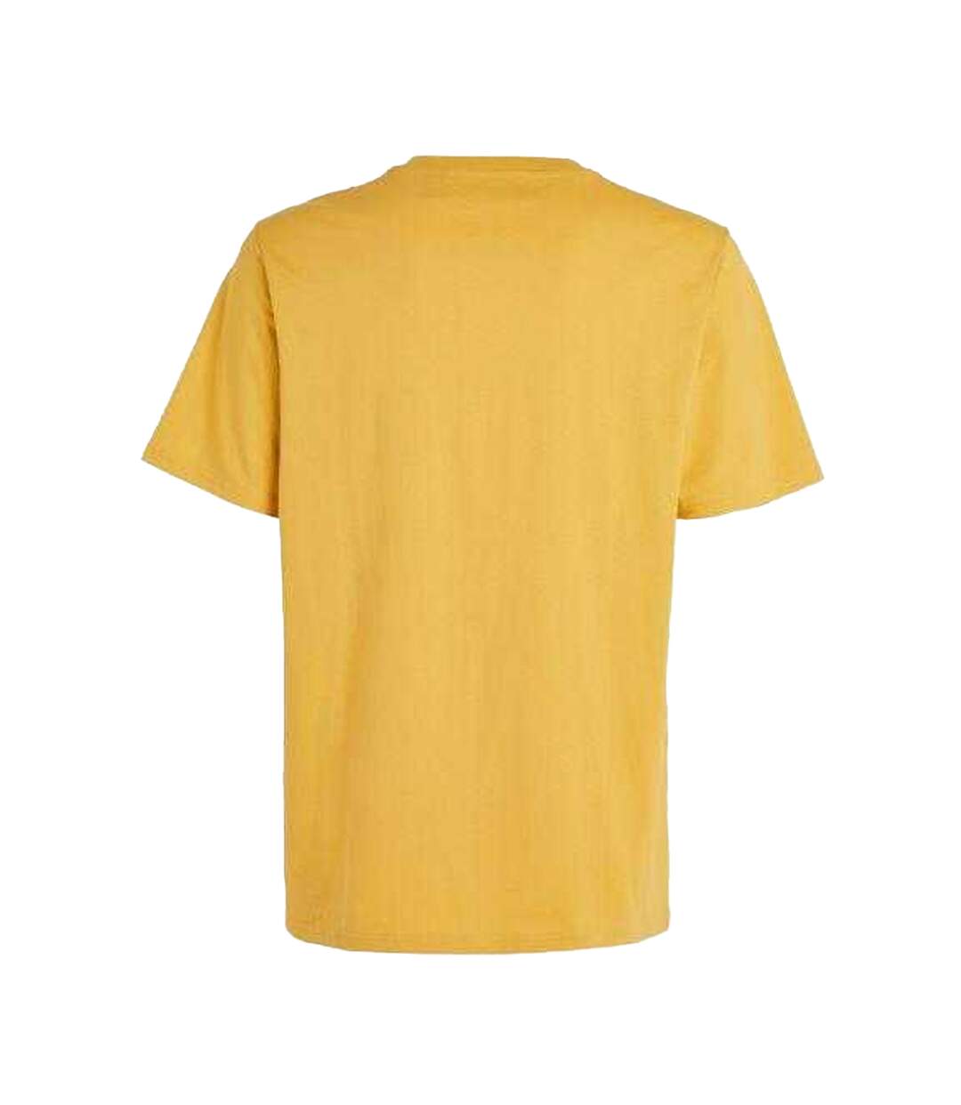 T-shirt The Future Surf Society Homme Jaune O´Neill-3