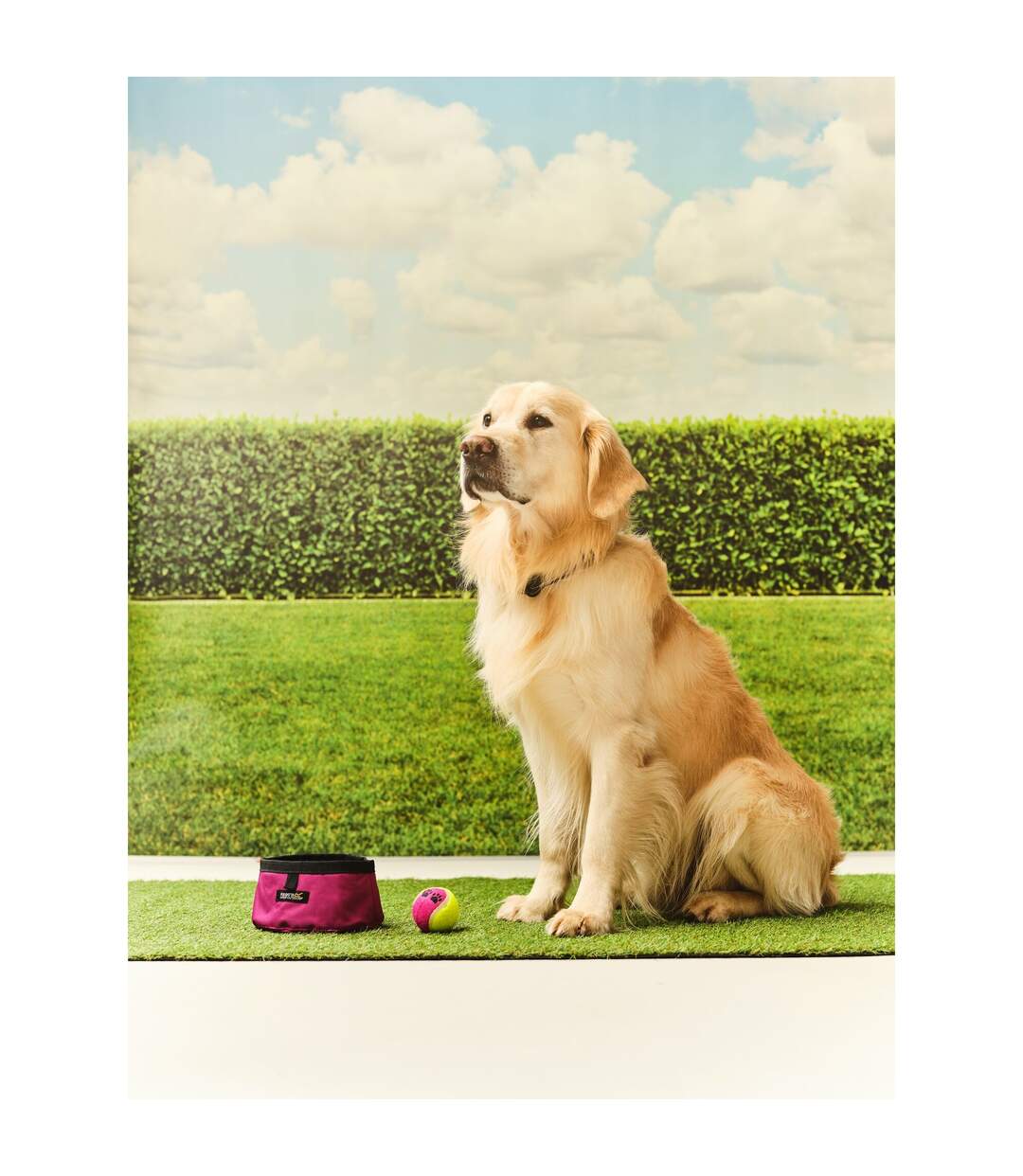 Pack away waterproof dog bowl one size azalea Regatta-2