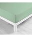 Drap Housse en Coton Biolina 160x200cm Sauge-1