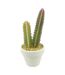 Plante Artificielle en Pot 1 Tige Cactus 22cm Blanc-1