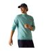 Mens Nithsdale Back Print Sweatshirt Arctic Green Regatta-1