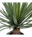 Palmier Artificiel en Pot Rivi 52cm Noir & Vert-3