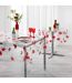 Set de Table Imprimé Poppyly 30x44cm Rouge-2