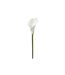 Fleur Artificielle Arôme 78cm Blanc-1