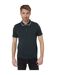 Polo Manches Courtes Pinetwn Homme Vert Pin Threadbare-2