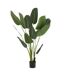 Plante Artificielle en Pot Strelitzia 189cm Vert-1