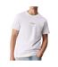 T-shirt blanc/camel homme calvin klein jeans shadow - l-1