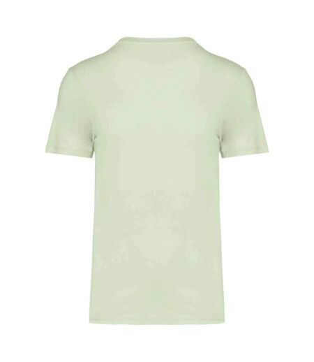 Unisex adult t-shirt celadon green Native Spirit