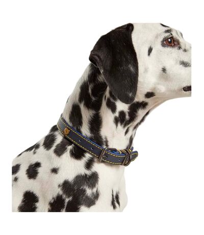 Leather dog collar small navy Joules
