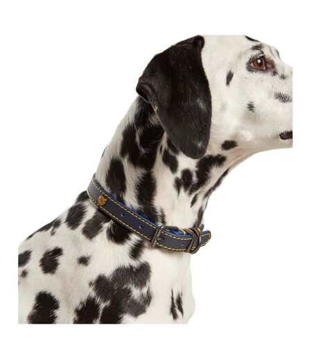 Leather dog collar small navy Joules