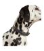 Leather dog collar small navy Joules-1