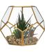 Plante Artificielle & Terrarium Déco Julie 17cm Or-2