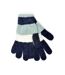 Womens/Ladies Striped Chenille Gloves (Green/Navy/White) - UTUT504