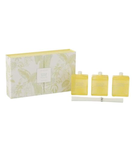 Coffret 3 Huiles Parfumées Sense 22cm Citron Énergisant